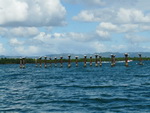 Ausflug Nationalpark  Vögel auf einen zerstörten Landungssteg in der Bucht des Nationalpark Los Hitises (DOM).